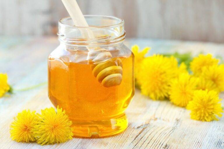 Сироп из одуванчиков – заготовка из витаминов! рецепты полезного сиропа из одуванчиков с сахаром и лимоном, пряностями, имбирем, медом
