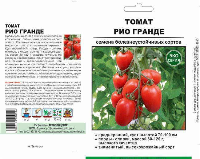 Низкорослые томаты для теплицы. лучшие сорта устойчивые к фитофторе, без пасынкования, поздние, ранние, крупноплодные, урожайные