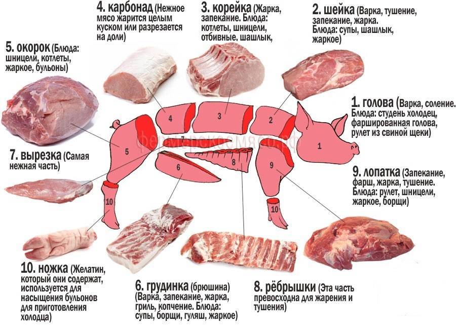 Свинина разделка туши схема и описание