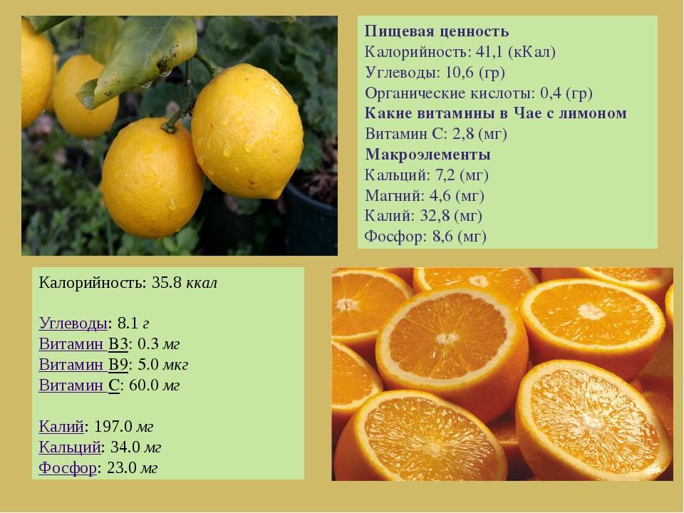 Грейпфрут - фото, польза и вред, свойства, калорийность