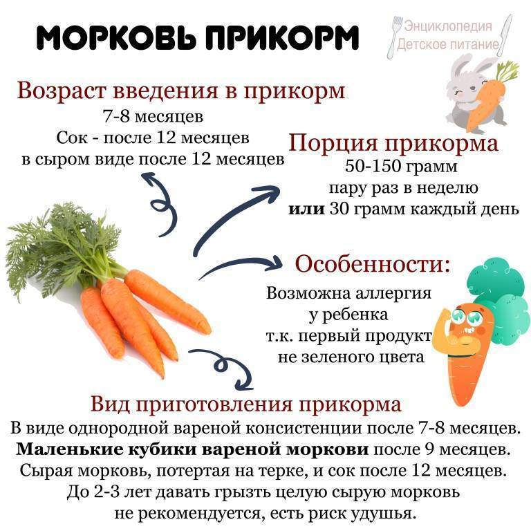 Польза сырой моркови для ребенка