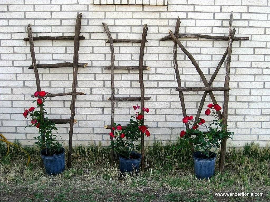Опоры для плетистых роз своими руками фото: 11 тыс изображений найдено в яндекс.картинках