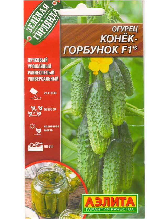 Огурцы конек-горбунок: описание сорта, фото, отзывы