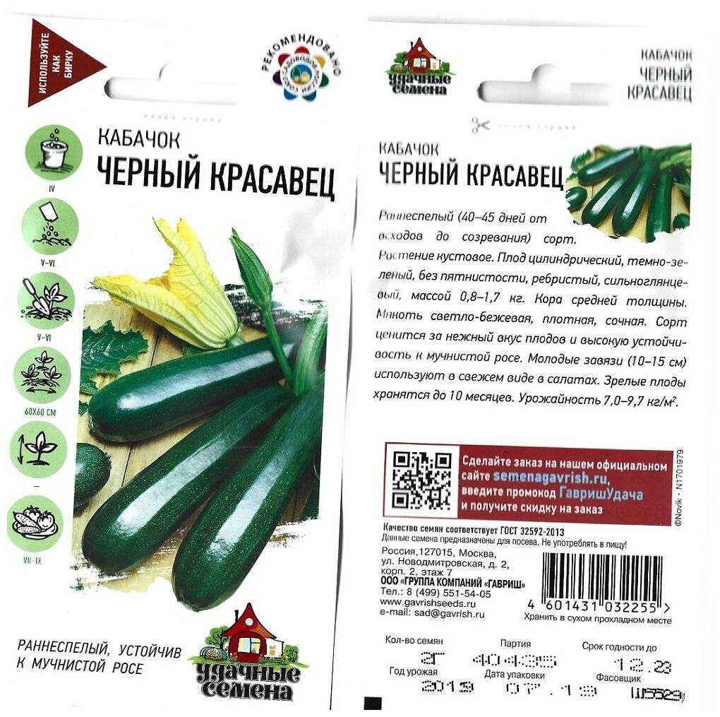 Черный красавец – неприхотливый кабачок-цуккини с отличной урожайностью