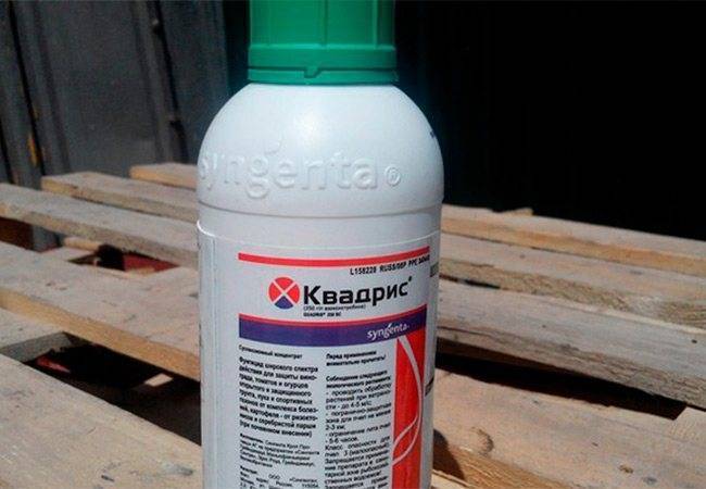 Фунгицид квадрис - инструкция по применению