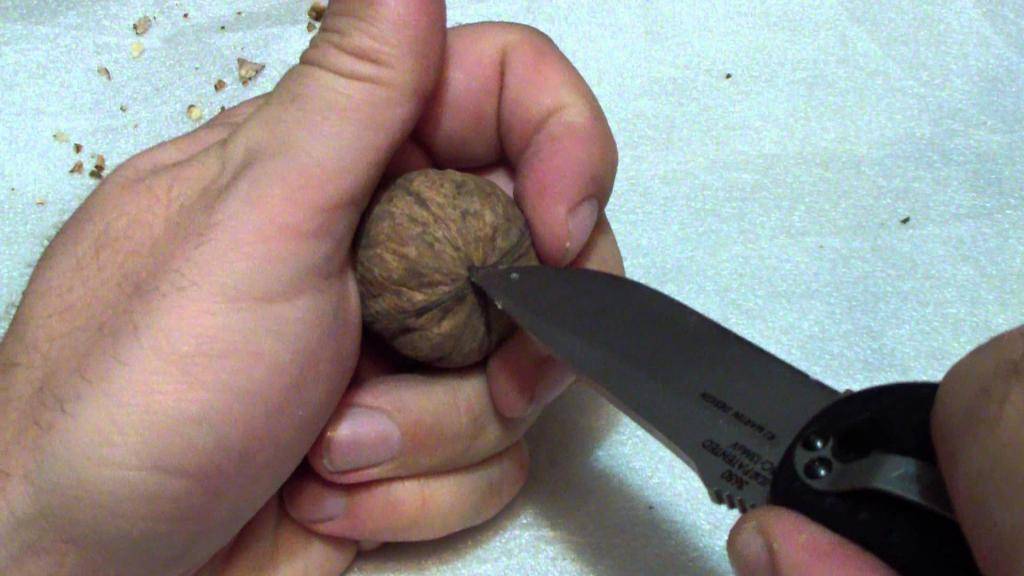 7 способов как чистить грецкие орехи от скорлупы в домашних условиях
