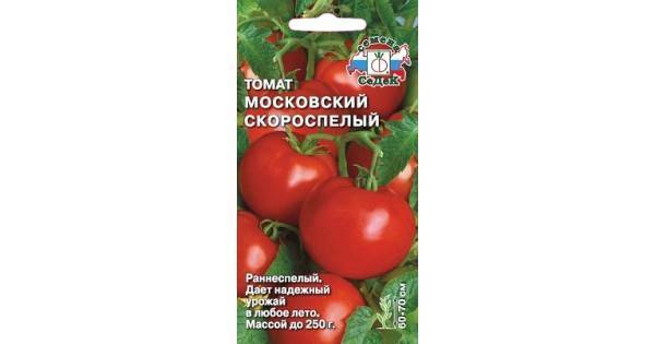 Сладкие крупноплодные томаты: лучшие сорта