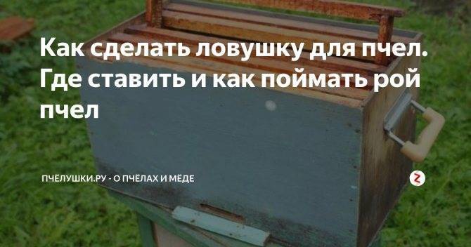 Апирой инструкция по применению для поимки роев в ловушках