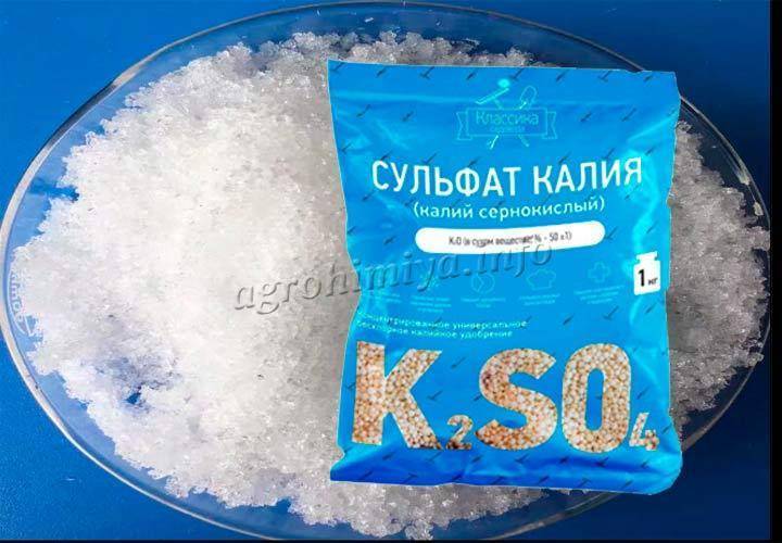 Все что вам нужно знать о калийных удобрениях, чтобы получить рекордный урожай овощей и фруктов на даче