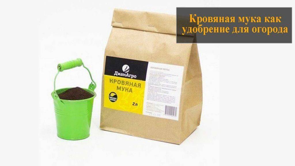 Кровяная мука как удобрение: описание, химический состав и полезные свойства + правила применения и отзывы дачников