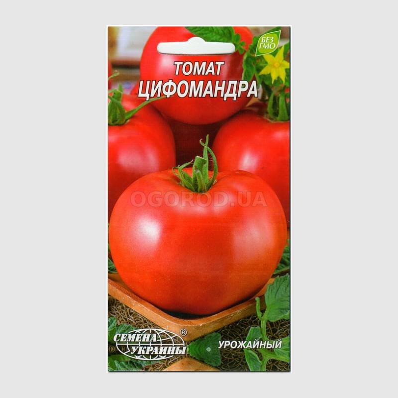 Томат цифомандра: характеристика и описание высокоурожайного сорта с фото