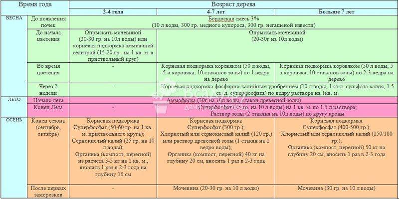 Эффективная внекорневая подкормка плодовых деревьев: с начала весны и до самой осени – советы от лигногумат | москва