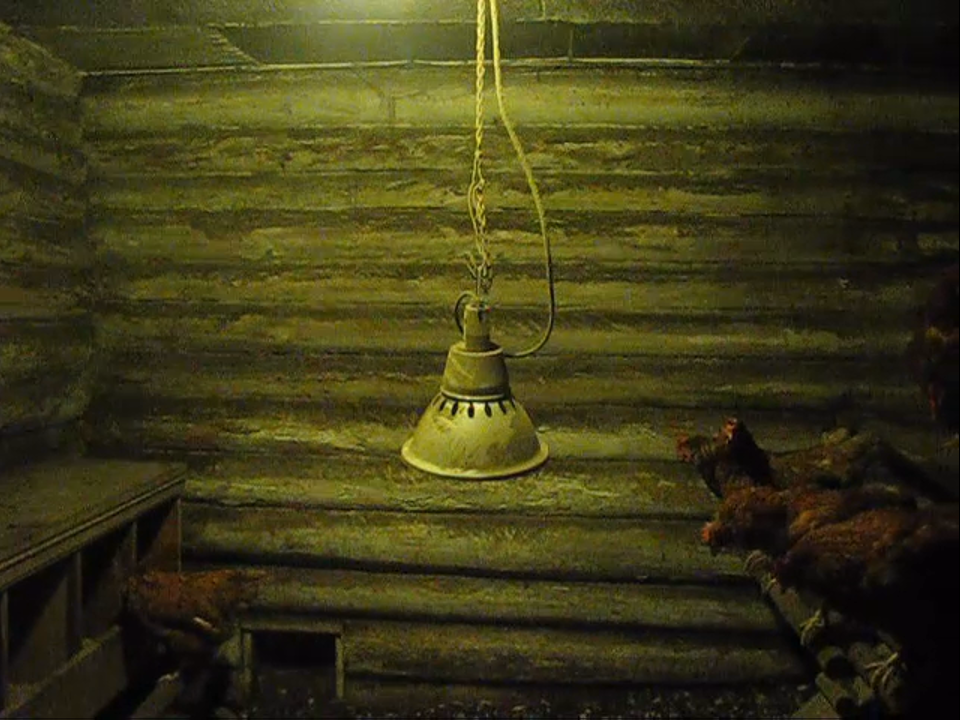 Варианты нагревателей и ламп для обогрева птиц