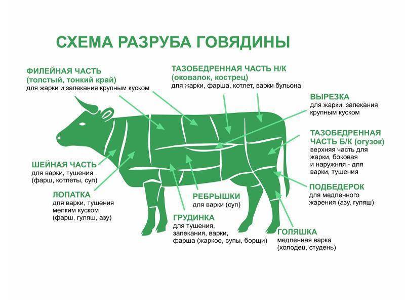 Схема разделки свиных туш + названия частей туши свинины