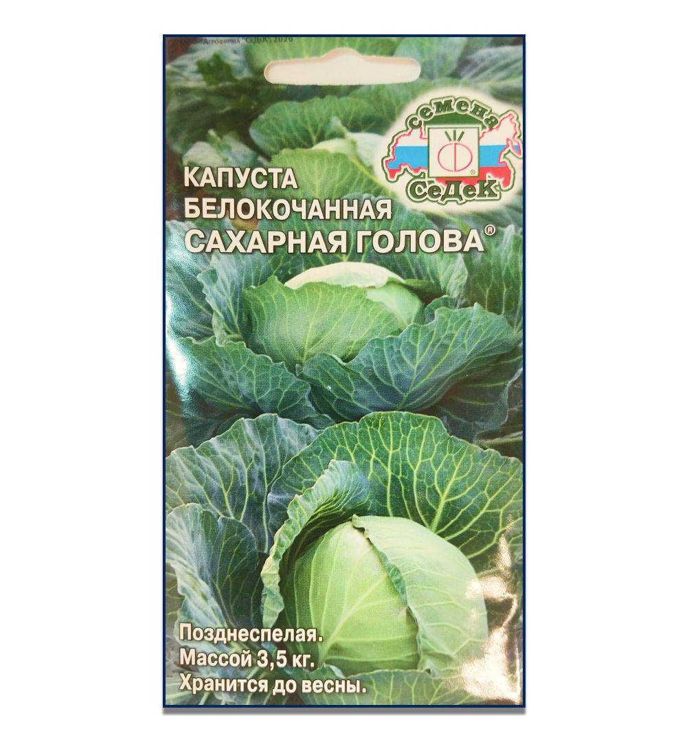 Капуста сахарная голова: описание сорта, фото, отзывы, урожайность