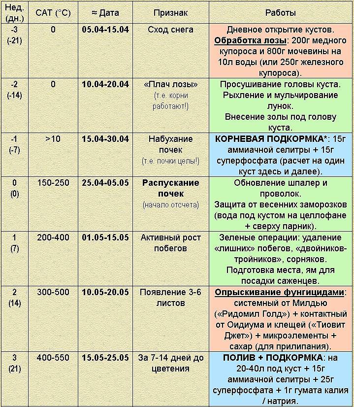 Обработка винограда осенью перед укрытием на зиму против болезней и вредителей
