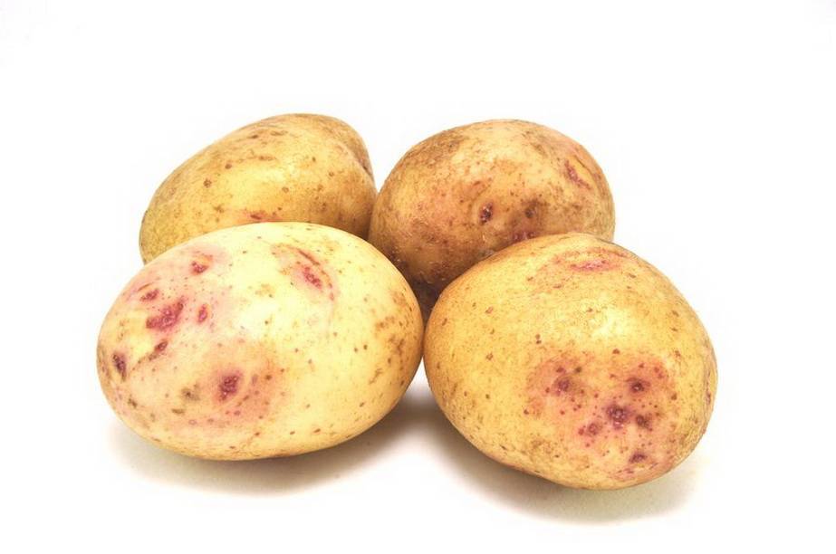Картофель синеглазка: характеристика и описание сорта, вкусовые качества, сроки созревания, хранение, фото, отзывы