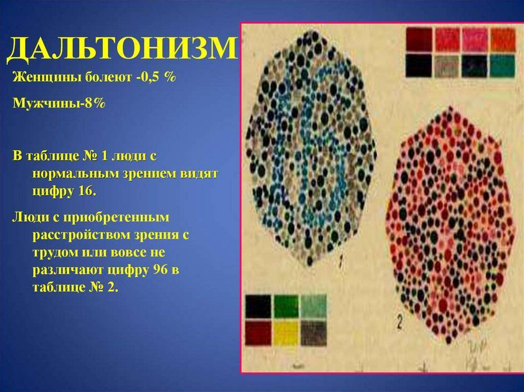 Кошки различают цвета или нет — коты дальтоники