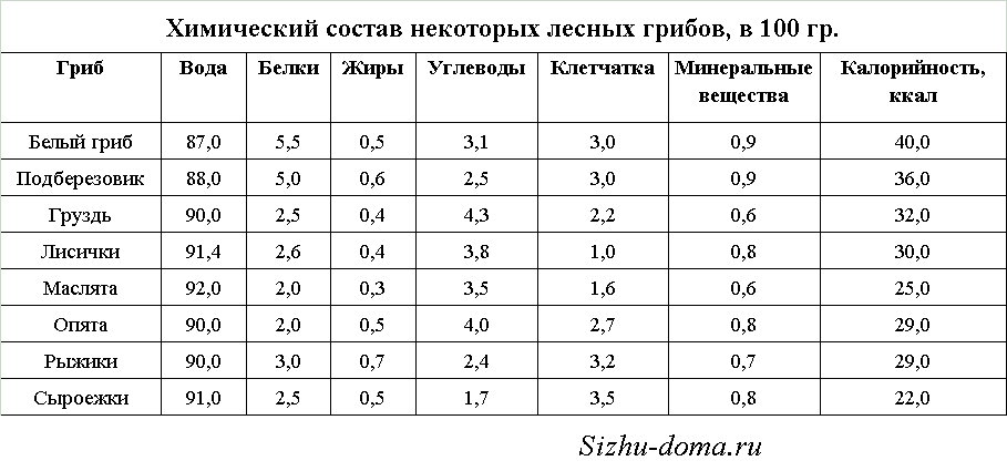 Грибы состав. Состав и пищевая ценность грибов. Таблица состав грибов. Химический состав грибов таблица. Химический состав белого гриба.