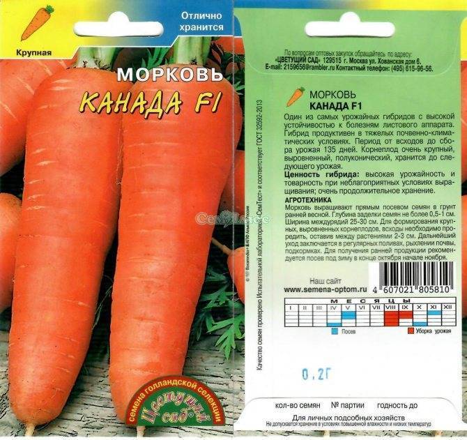 Морковь абако: описание сорта, как вырастить с фото