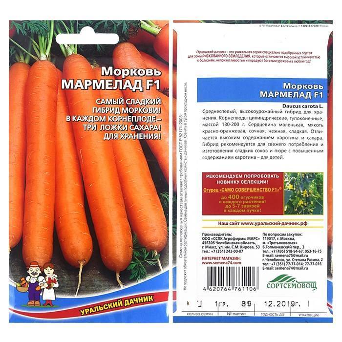 Самые сладкие сорта моркови для детского питания - дачные советы