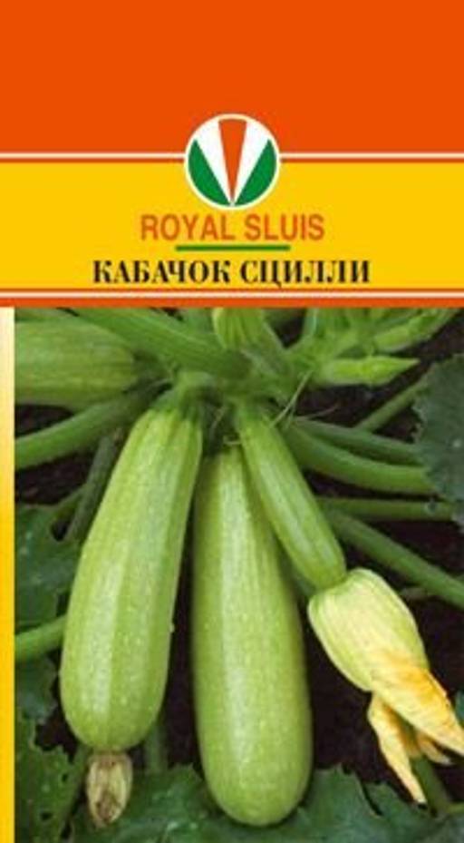 Лучшие сорта кабачков - 31 сорт с описанием и фото