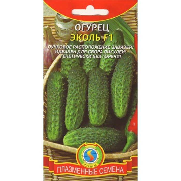 Сорт Огурца Эколь Отзывы Фото
