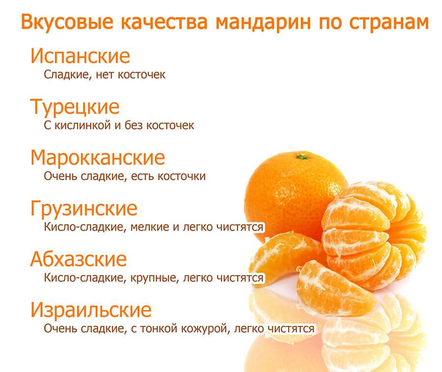 Что полезнее: апельсин или мандарин?