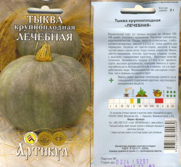 Тыква «россиянка»: описание сорта с фото, выращивание и уход, сроки созревания, когда можно снимать урожай