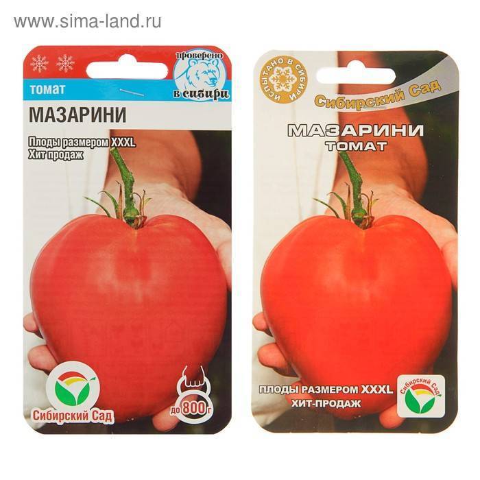 Томат мазарини: характеристика и описание сорта, отзывы об урожайности и фото спелых плодов
