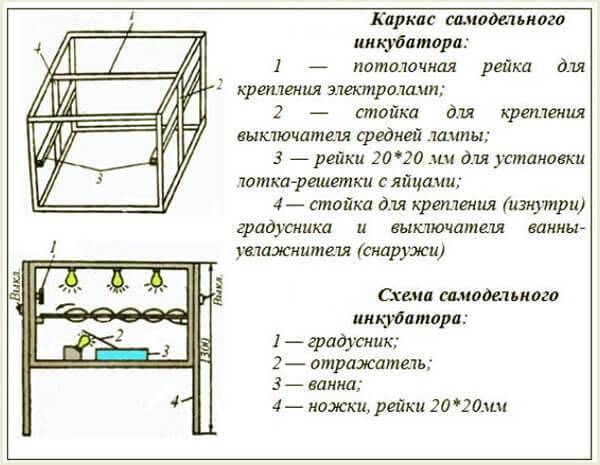 Как сделать инкубатор для перепелов и решетку для яиц своими руками: виды инкубаторов и способы изготовления