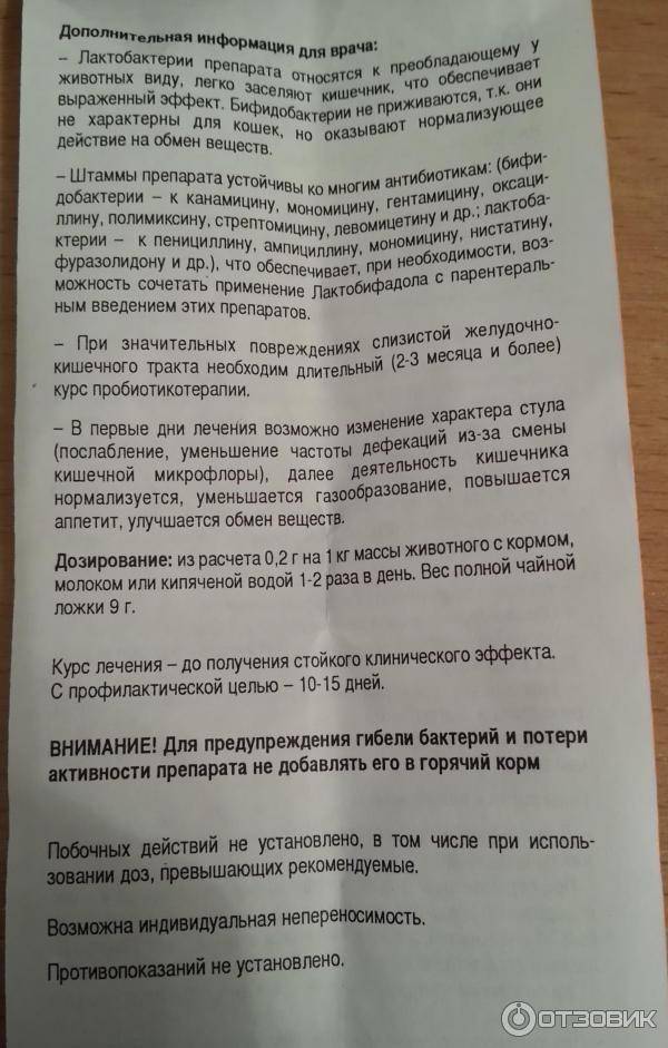 Лактобифадол для собак - усатый-полосатый