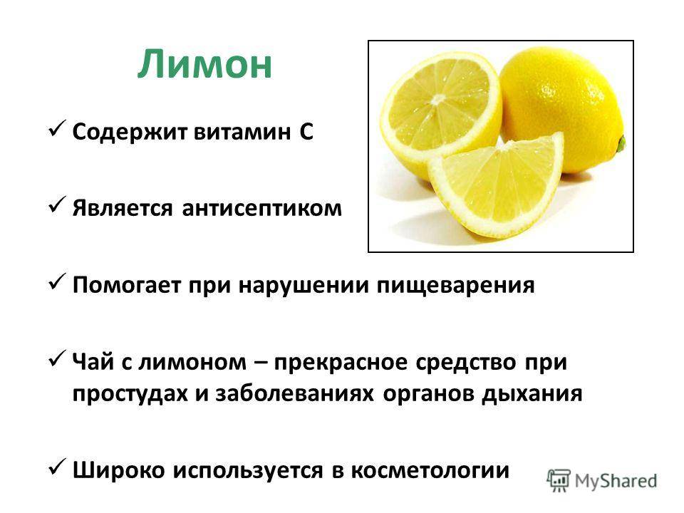 Какие цитрусовые для человека полезнее всего: рейтинг по содержанию витамина с: новости, апельсин, мандарины, лимон, польза, здоровье