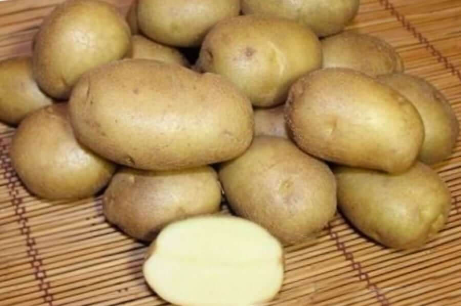 Описание сорта картофеля любава — как поднять урожайность