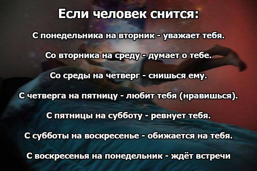 К чему снятся помидоры во сне: значения в сонниках