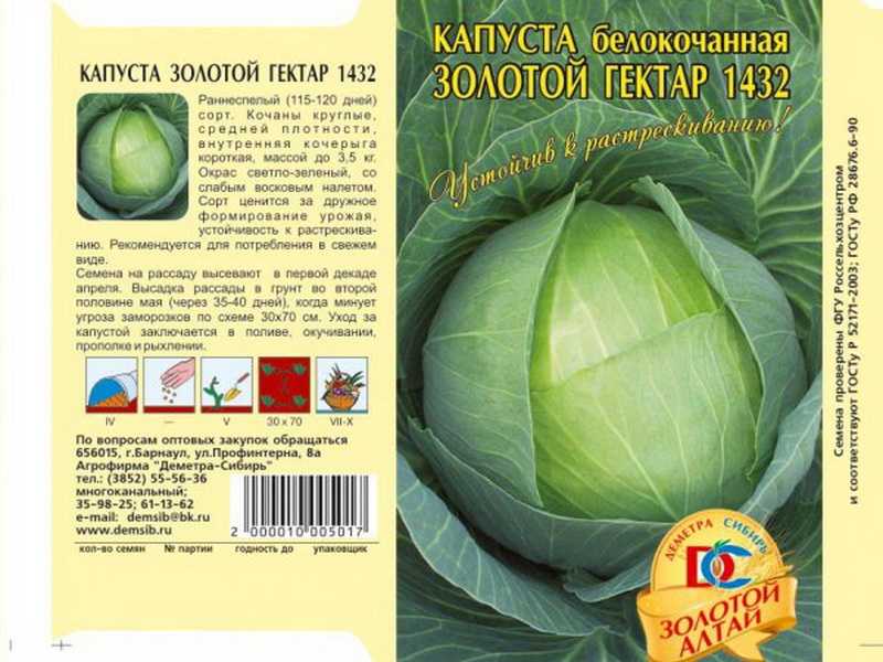 Вкусный, полезный и ароматный сорт белокочанной капусты — тиара f1: описание и характеристика