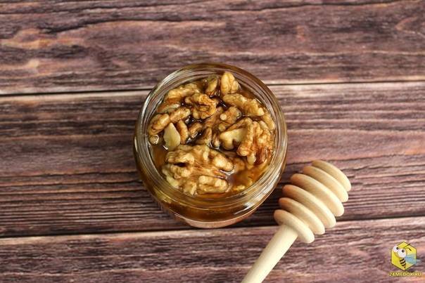 Грецкий орех с медом: рецепты для мужчин, женщин, отзывы