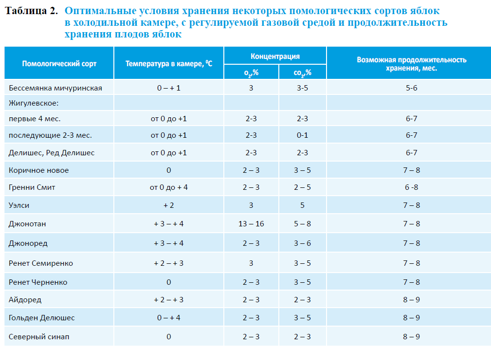 Срок годности яблок