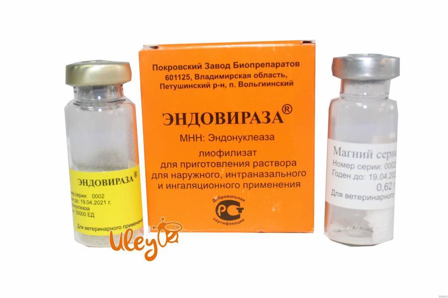 Маврик, вэ