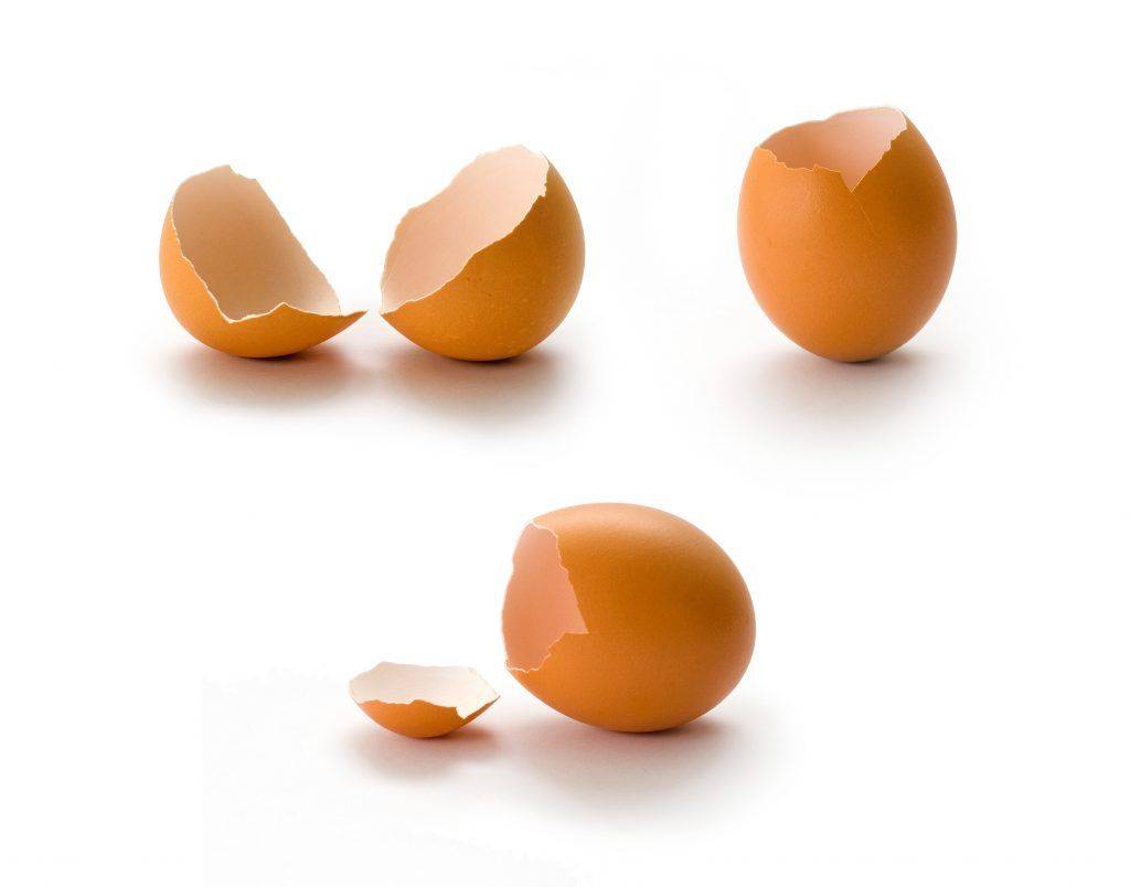 Почему куры несут яйца с тонкой и мягкой скорлупой