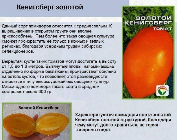 Томат Золотой Кенигсберг: отзывы, фото, урожайность
