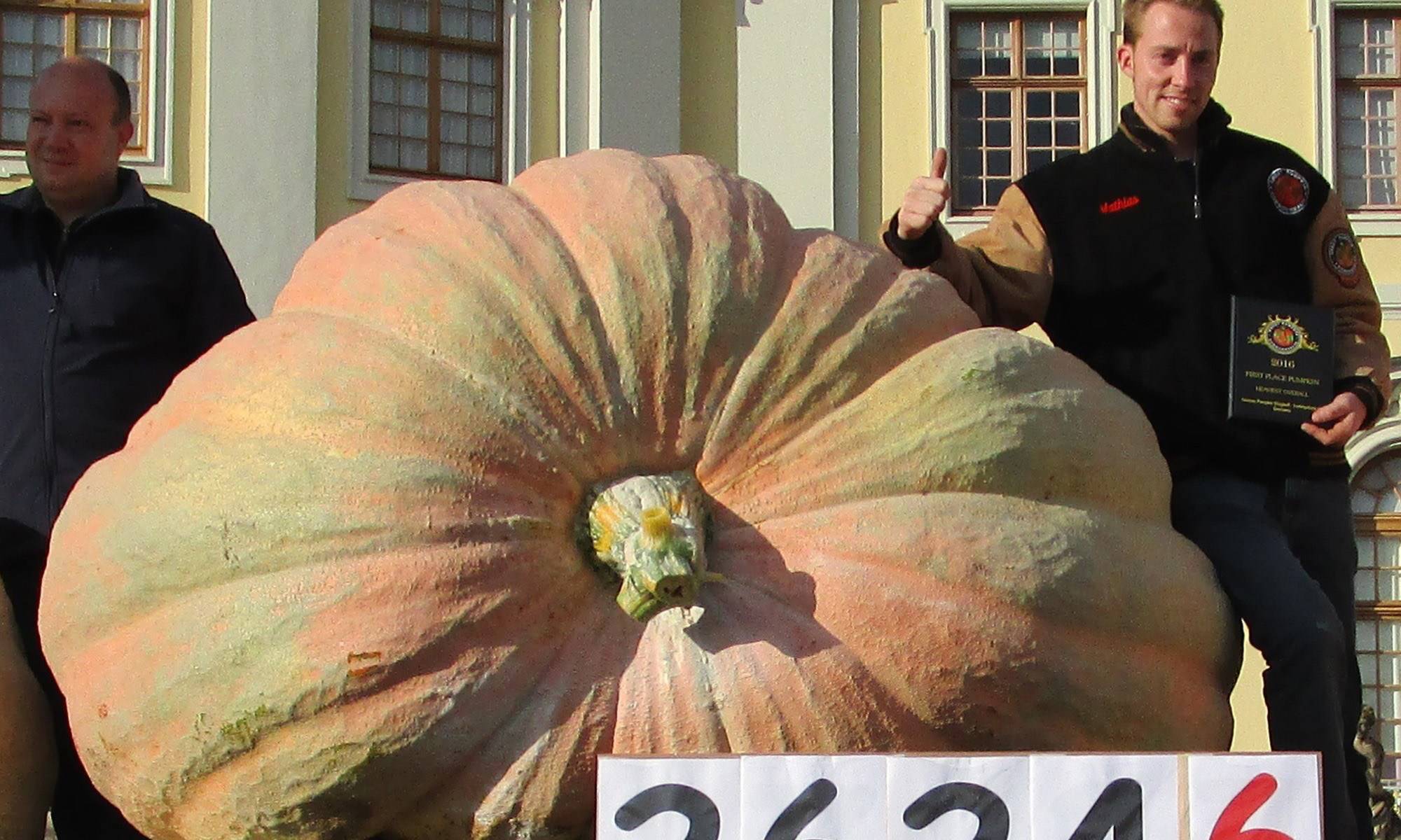 Самые большие тыквы в мире: сколько весит наиболее тяжёлый рекордсмен?