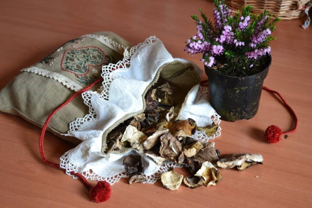 Сколько и как хранить сушеные грибы в домашних условиях