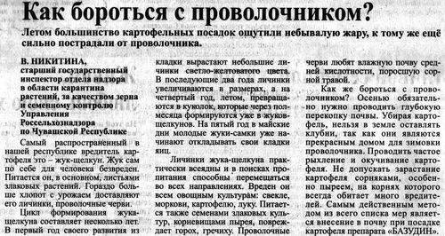 Как бороться с проволочником народными средствами: эффективные рецепты