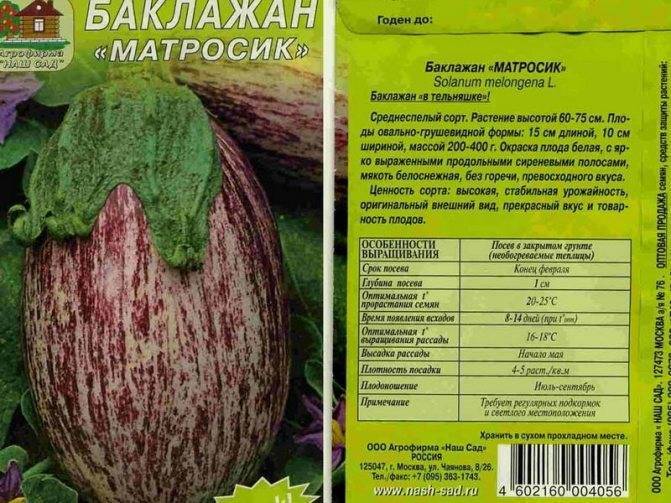 Сорт баклажана Матросик