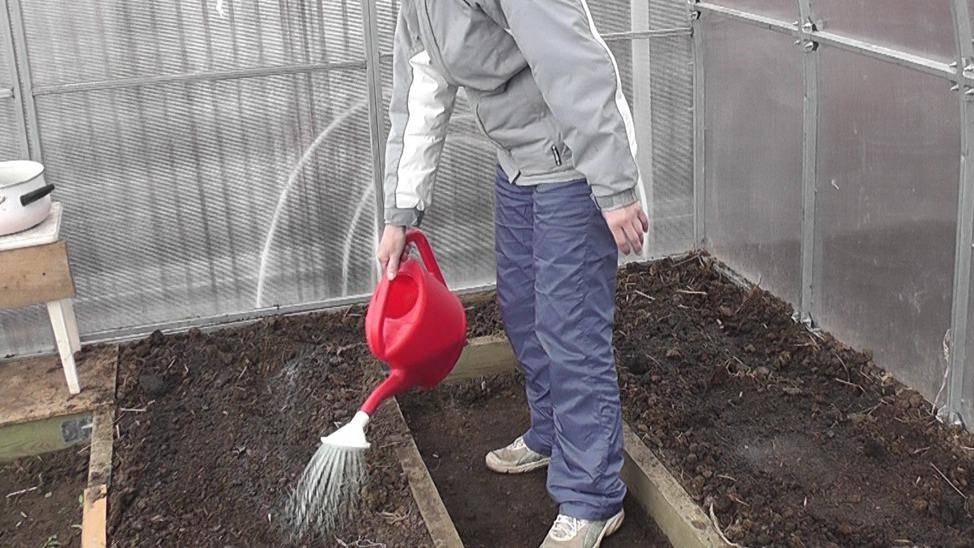 Обработка почвы медным купоросом в теплице осенью. как обработать теплицы медным купоросом весной