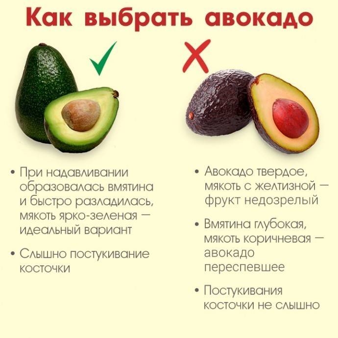 Как ускорить созревание авокадо в домашних условиях — lesnik