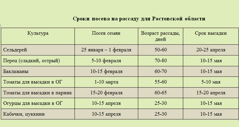 Срок высадки рассады Ростовская область. Сроки высадки рассады в теплицу. Сроки посадки томатов на рассаду. Сроки посева.