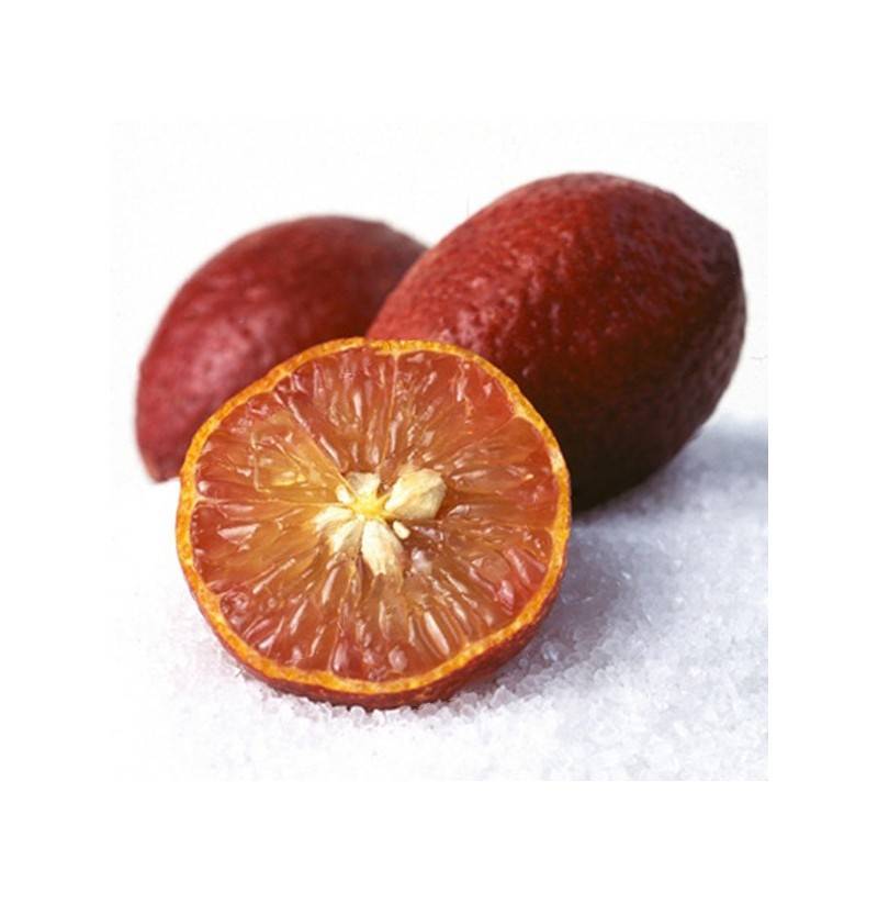 Красный апельсин: описание, происхождение, состав, польза и вред