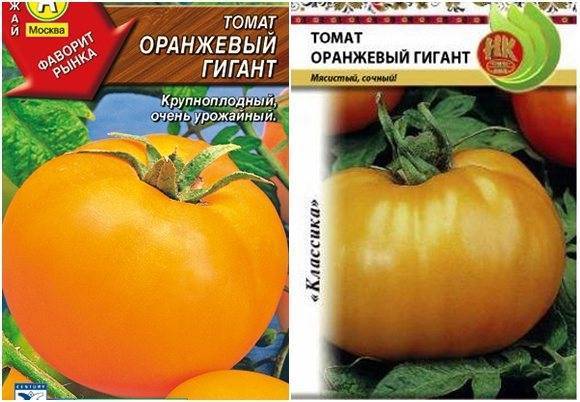 Томат «красный гигант»: характеристика и описание сорта помидор, отзывы и фото